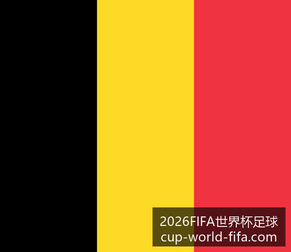 世界杯买球,阿根廷晋级,八强,2026FIFA世界杯,世界杯足球选购,足球球迷装备,赛事信息查询,世界杯周边商品