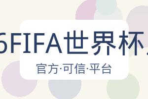 2026FIFA世界杯足球 配图