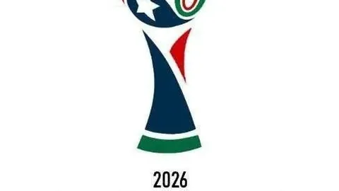 2026FIFA世界杯足球 资讯 154426 84k