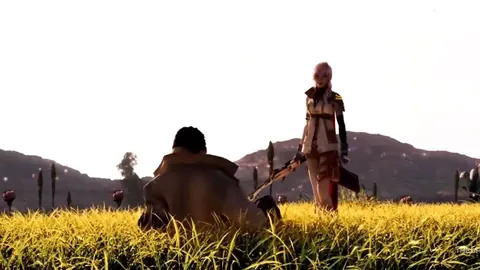 2026FIFA世界杯足球 资讯 123813 rsi